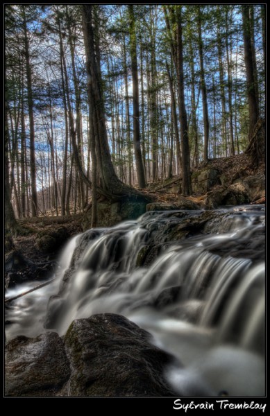 Ruisseau dans un sous-bois en HDR par Sylvain Tremblay